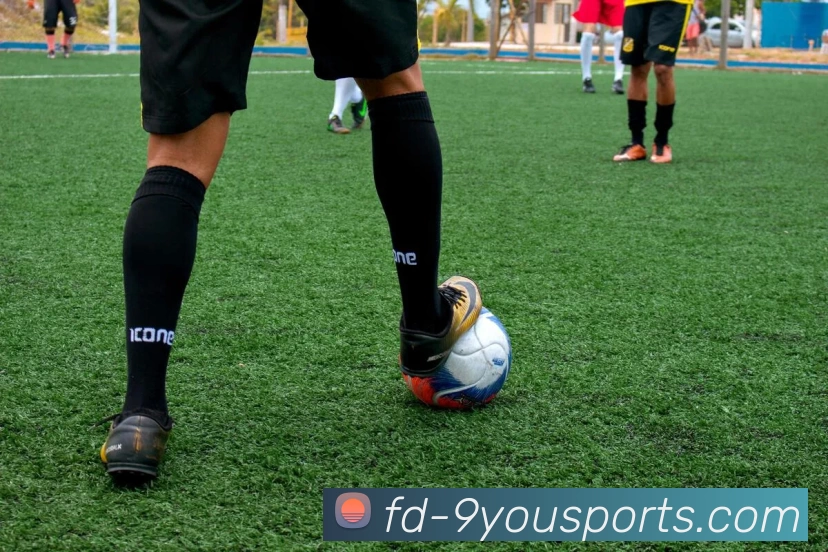 九游体育平台生态图